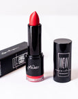 Ginger Spice Bullet Lipstick | 111